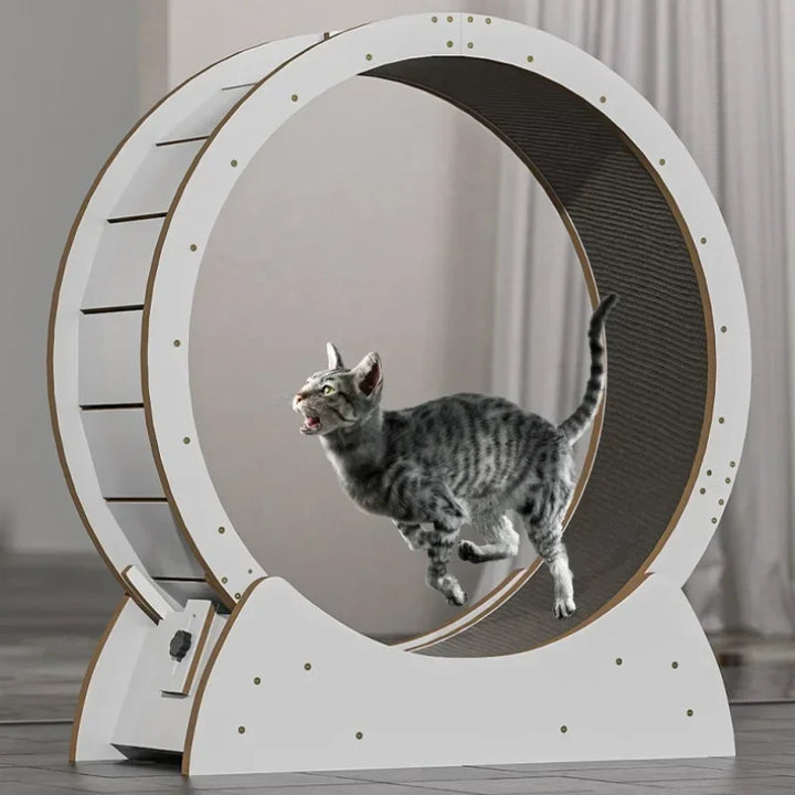 Solid Wood Cat Play Mat Sports Fitness Running Pet Mat Suitable for 5kg Cats